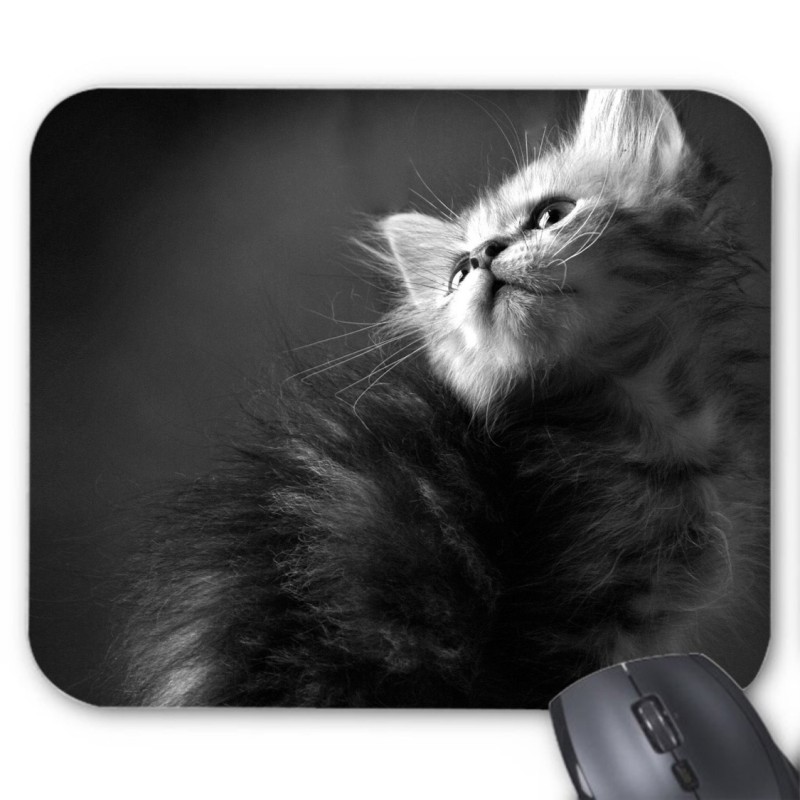Tapis de souris Chaton gris