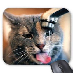 Tapis de souris Chat