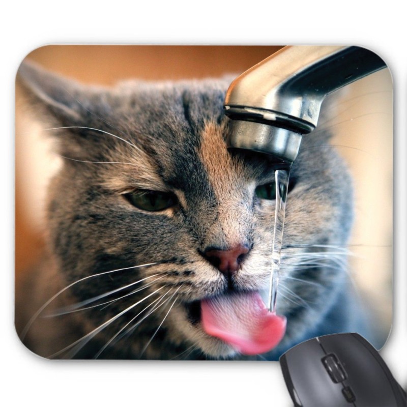 Tapis de souris Chat