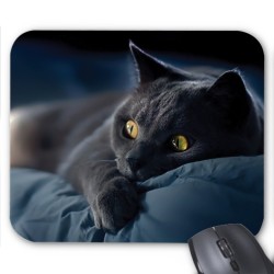 Tapis de souris Chat noir 
