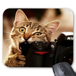 Tapis de souris Chat photo