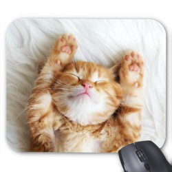 Tapis de souris Chaton
