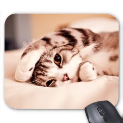 Tapis de souris Chaton
