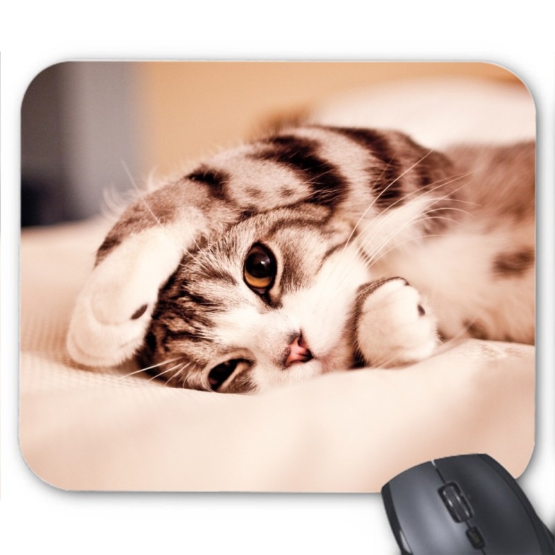 Tapis de souris Chaton