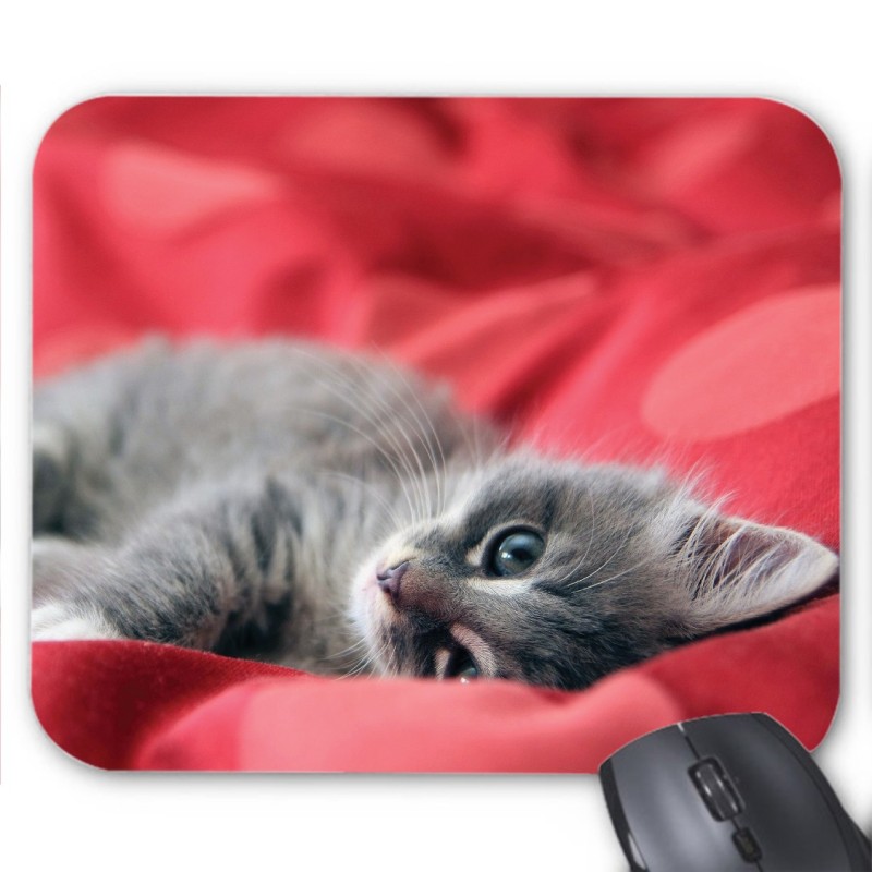 Tapis de souris Chaton rouge