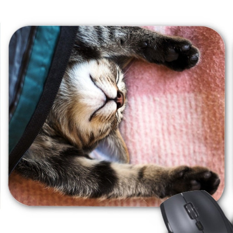Tapis de souris Chaton 