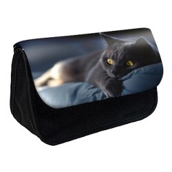 Trousse à Crayons Chat chaton
