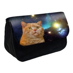 Trousse à Crayons Chat chaton