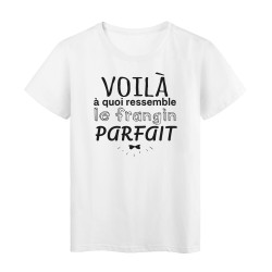 T-Shirt imprimé citation humour voila a quoi ressemble le frangin parfait