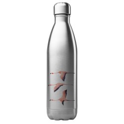 Bouteille gourde isotherme acier inox 500 ml imprimé illustration Flamant rose