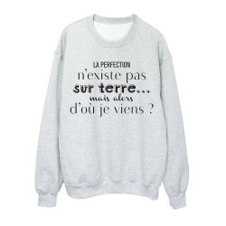Sweat shirt imprimé citation humour La perfection n'existe pas sur mais alors d'ou je viens?