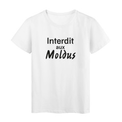 T-Shirt imprimé humour citation Il n'y a qu'une seule race celle qu'on va se mettre ce soir
