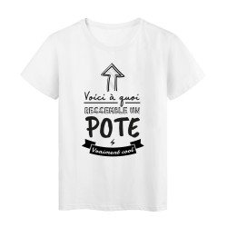 T-Shirt imprimé humour citation Voici a quoi ressemble un pote vraiment cool