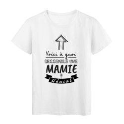 T-Shirt imprimé humour citation Voici a quoi ressemble une mamie vraiment cool