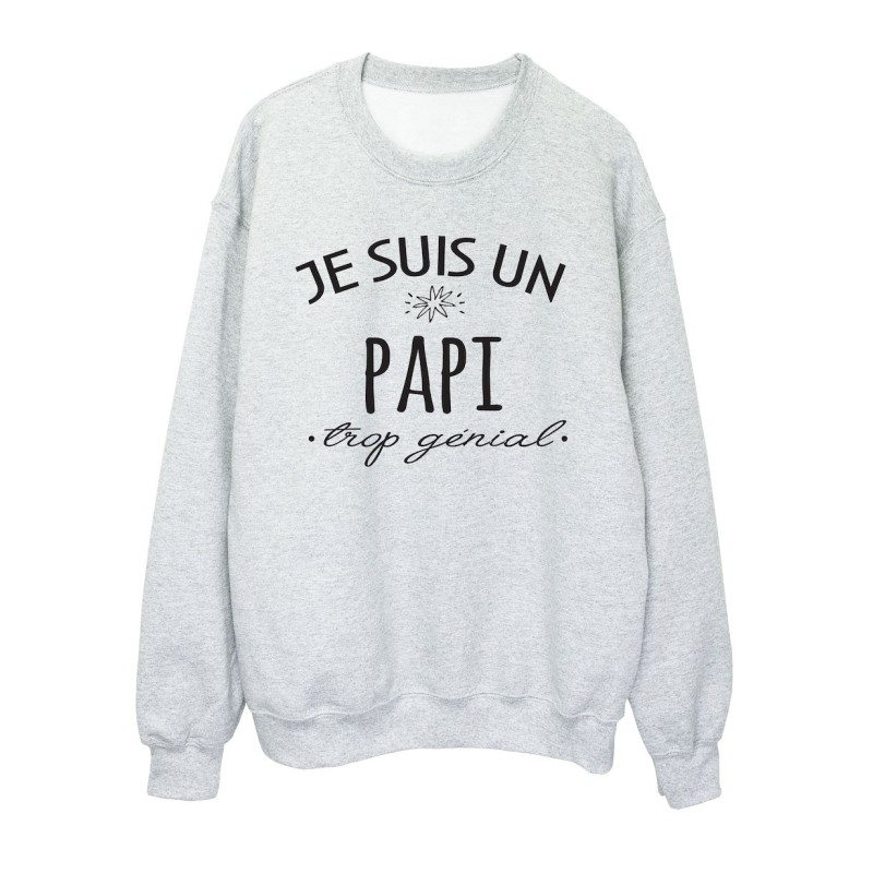 Sweat shirt imprimé citation humour Je suis un papi trop génial