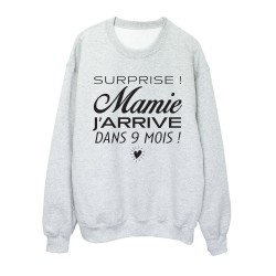 Sweat shirt imprimé citation humour naissance Surprise mamie j'arrive dans 9 mois