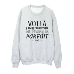 Sweat shirt imprimé citation humour Voila a quoi ressemble le frangin parfait