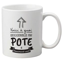 Mug tasse céramique imprimé citation Humour Voici a quoi ressemble un pote vraiment cool