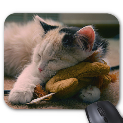 Tapis de souris imprimé Animaux chat