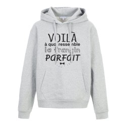 Sweat shirt à Capuche - Hoodie - Imprimé citation - Voila a quoi ressemble le frangin parfait