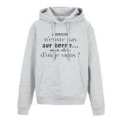 Sweat shirt à Capuche - Hoodie - Imprimé citation - humour La perfection n'existe pas mais alors d'ou je viens