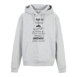 Sweat shirt à Capuche - Hoodie - Imprimé citation - humour Un frère motard carrément plus cool