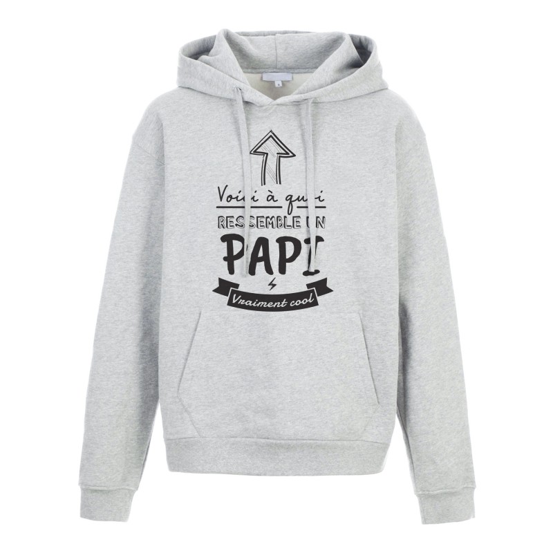 Sweat shirt à Capuche - Hoodie - Imprimé citation - humour citation Voici a quoi ressemble papi cool
