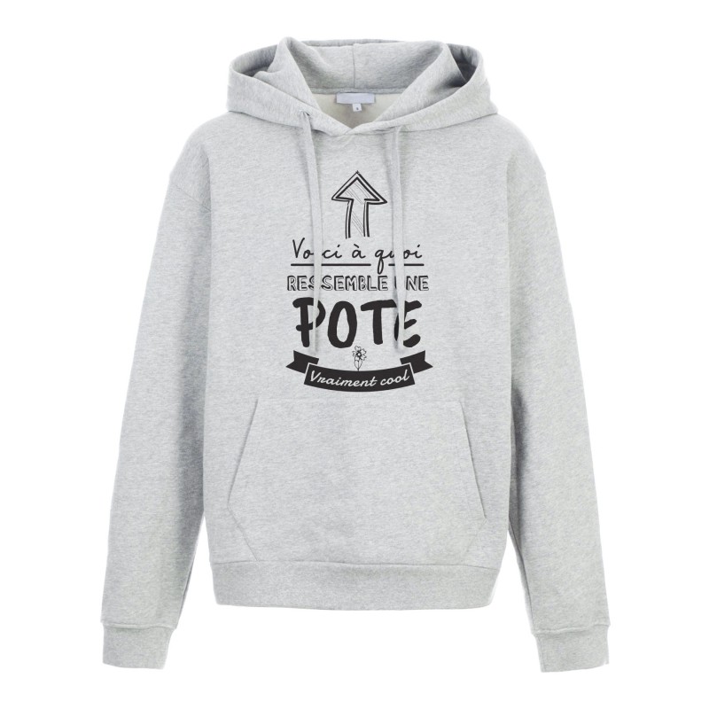 Sweat shirt à Capuche - Hoodie - Imprimé citation - humour citation Voici a quoi ressemble une pote cool