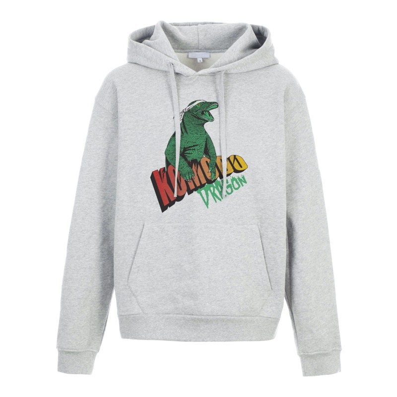 Sweat shirt à Capuche - Hoodie - Imprimé citation - illustration vintage dragon