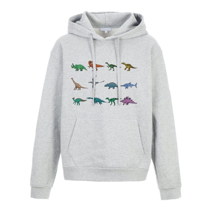 Sweat shirt à Capuche - Hoodie - Imprimé citation - Illustration dinosaure