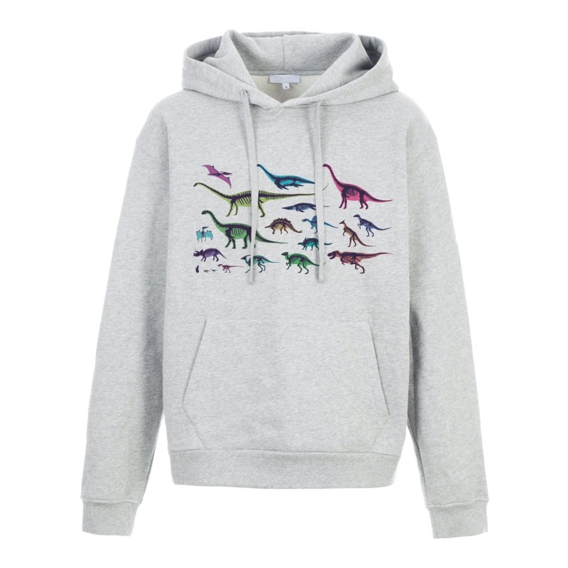 Sweat shirt à Capuche - Hoodie - Imprimé citation - illustration Dinosaures