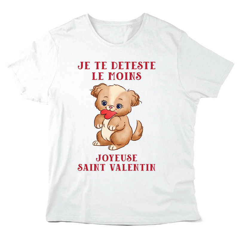 T-Shirt imprimé à message - Cadeau Saint Valentin - Je te déteste le moins